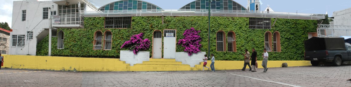 _calle hidalgo DESPUES